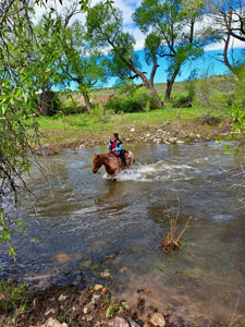 USA-Wyoming-Two Creek Ranch Round Up